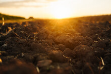 Plowed Field At Sunset.  Agriculture, Gardening Or Ecology Concept.