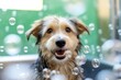 Cute dog taking bath with soap bubbles. AI Generated
