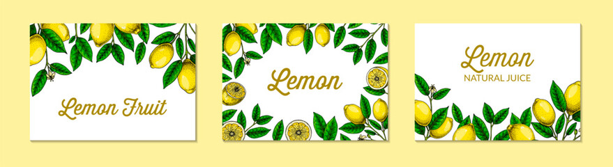 Wall Mural - Horizontal lemon background. Hand drawn colorful vector illustration in sketch stile. Design for packaging, invitation, greeting cards