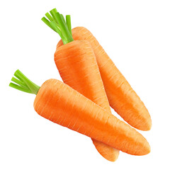 Wall Mural - carrot isolated on white background, full depth of field