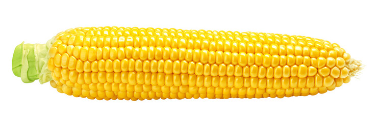 Wall Mural - corn ear, isolated on white background, full depth of field