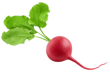 Wall Mural - radish isolated on white background, full depth of field