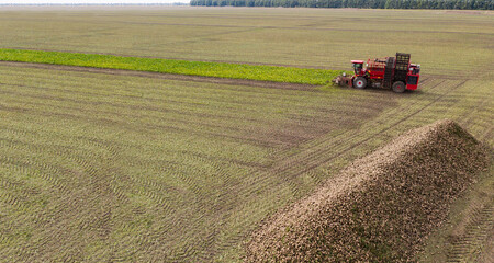 Aufkleber - Combine harvester harvests sugar beet on the field. Aerial view.