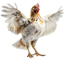 The Noble Hen Intensively Flaps Her Beautiful Wings. Chicken In Motion. Isolated On Transparent Background. KI.
