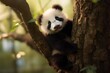 © Suplim - Adorable Baby Panda Climbing Tree