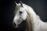 Fototapeta Konie - White horse portret on black background, created with Generative AI technology