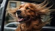 © Samira - Dog sticking its head out of car window, Generative AI