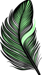 black and green graphic drawing bird feather no background, isolated element