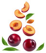 Plum isolated. Ripe red plum, fruit halves and slices on a white background. Fruit levitation.