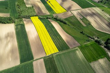 Canvas Print - Colorful patterns in crop fields at farmland, aerial view, drone photo