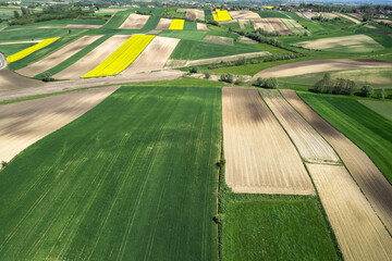 Canvas Print - Colorful patterns in crop fields at farmland, aerial view, drone photo