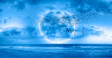 Poster - Silhouette of flock birds flying with full moon at sunset or sunrise