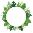 © zahozhenko - Tropical leaves in a round frame.