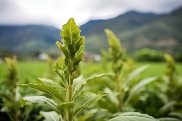 Canvas Print - lush green plant with majestic mountains in the backdrop Generative AI