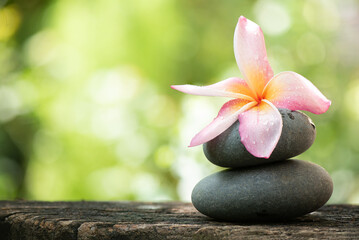 Zen stone and plumeria flower on nature background.