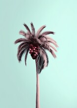 A Simplistic Palm Tree Illustration Created Using Generative AI