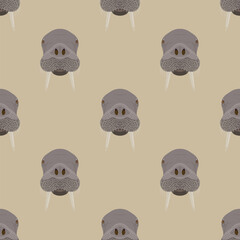 Wall Mural - Seamless animal pattern with walrus heads. Odobenus rosmarus. Cartoon style. On beige background.