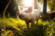Funny pet pig on a meadow on a sunny day. High quality generative AI