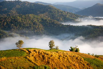 Poster - Morning view on a high mountain with beautiful fog.