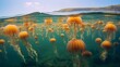 Particular little jellyfish Aurelia aurita in Devastating ocean. Crimea. Creative resource, AI Generated