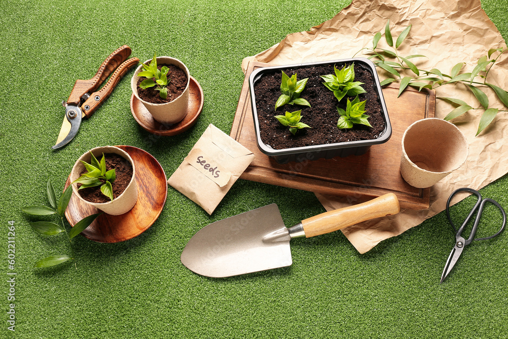 Pack with seeds, seedlings and gardening tools on green background