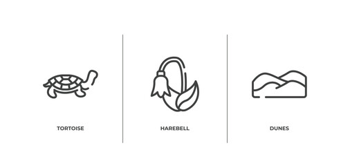Wall Mural - desert outline icons set. thin line icons sheet included tortoise, harebell, dunes vector.