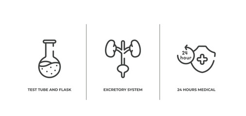 Wall Mural - medicine and health outline icons set. thin line icons sheet included test tube and flask, excretory system, 24 hours medical assistance vector.