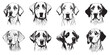 Set of dogs. Dog face sketch black outline logo vector. Dog face logo