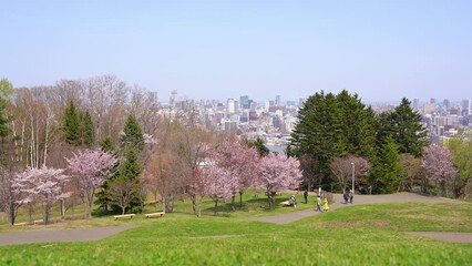 Sticker - Panoramic view of Sapporo city and Asahiyama Memorial Park at spring in Sapporo, Hokkaido, Japan