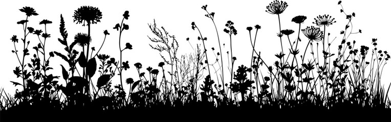 grass with herbs and wild flowers. vector isolated silhouette of floral meadow. horizontal border.