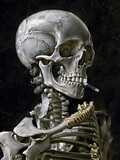 Fototapeta Kosmos - human skull on black