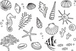 貝殻イラストセット　手描き線画