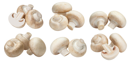 Wall Mural - Collection of fresh champignon mushrooms, cut out