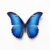 Fototapeta Motyle - Blue butterfly isolated on white background