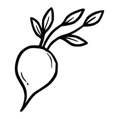 Wall Mural - Hand drawn beet vegetable. Doodle sketch style. Drawing line simple beet icon. Isolated vector illustration.