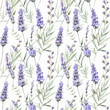 © Hanna - Seamless pattern with many lavender flowers on white background in watercolor style. Generative AI.