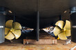 Aft with two propellers of the luxury motor yacht is dry docked on wooden blocks and supported by steel supports.