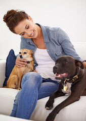 Poster - Woman, sofa and smile with pet dogs for care, love and bonding in home living room, playing and together. Girl, animal family and relax on lounge couch with happiness, lifestyle and cuddle in house