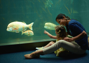 Mother, aquarium and girl pointing at fish for learning, curiosity or knowledge, nature and bonding together. Mom, fishtank and happy kid watching marine life or animals swim underwater in oceanarium