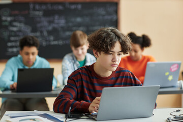 Portrait of school boy using laptop computer in class during programming lesson