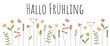 © Artlanes - Hallo Frühling - Schriftzug in deutscher Sprache. Grußbanner mit liebevoll gezeichneten Schmetterlingen und Blumen.