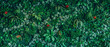 © NewSaetiew - Close up group of background tropical green leaves texture and abstract background. Tropical leaf nature concept.