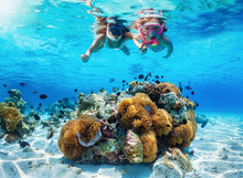 A Mother And Daughter Snorkeling In Tropical Ocean Over A Colorful Coral Reef With Fish During Their Summer Vacations