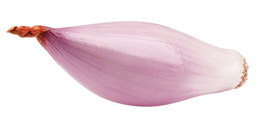 Wall Mural - onion, shallot, isolated on white background, full depth of field