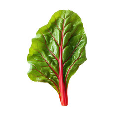 Sticker - Swiss chard leaf isolated on white