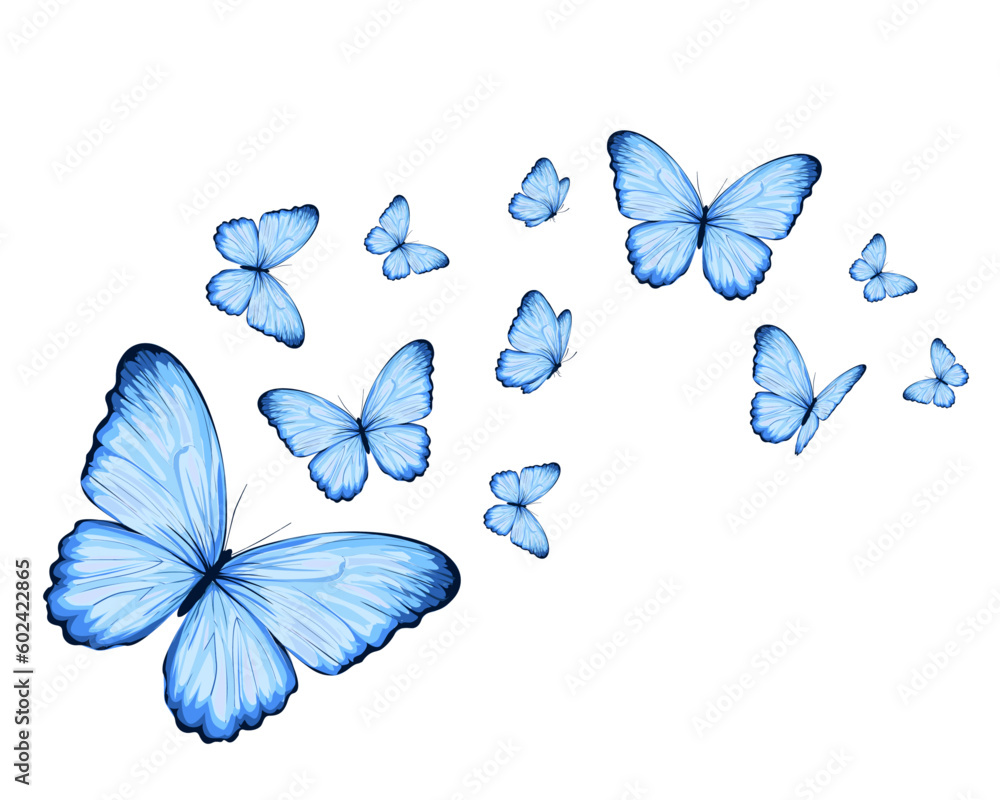 set of butterflies blue butterfly Stock Vector | Adobe Stock