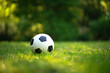 A rubber soccer ball on the green grass in the park.Playing football in the fresh air. A white ball with black squares.Active outdoor sports.