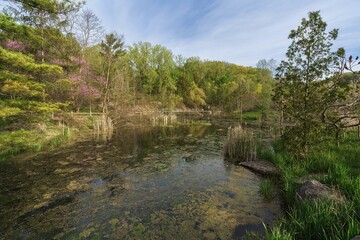 Wall Mural - A springtime walk through beautiful Don Valley Brick Works park located within the large city of Toronto, Ontario, Canada