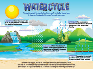 Wall Mural - Water Cycle for Science Education