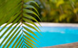 A luxurious swimming pool with sun loungers for relaxation and relaxation, surrounded by palm trees and blue sky, selective focus on the palm branch.